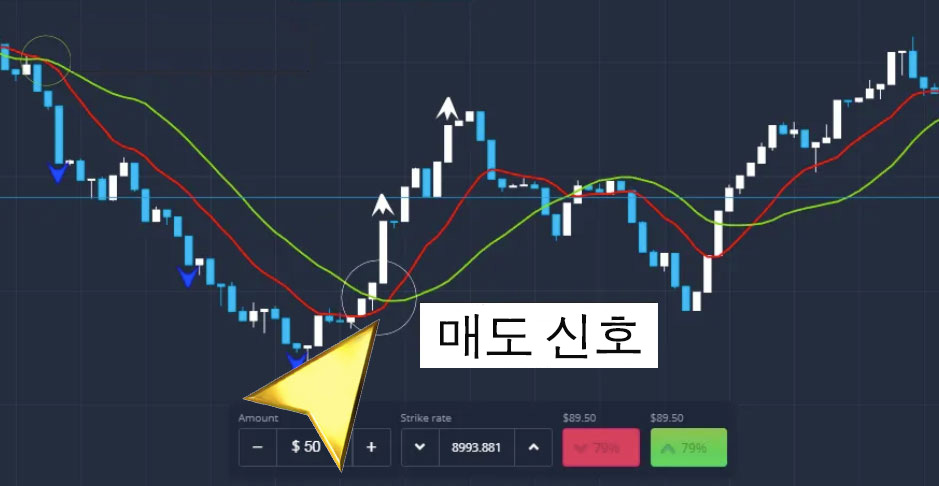 ExpertOption 기술 전략 분석